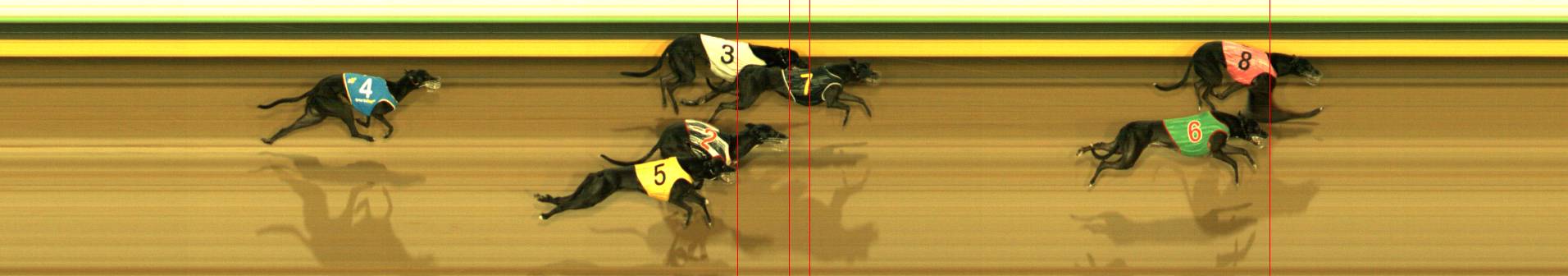 Photo finish for Sandown Race 5
