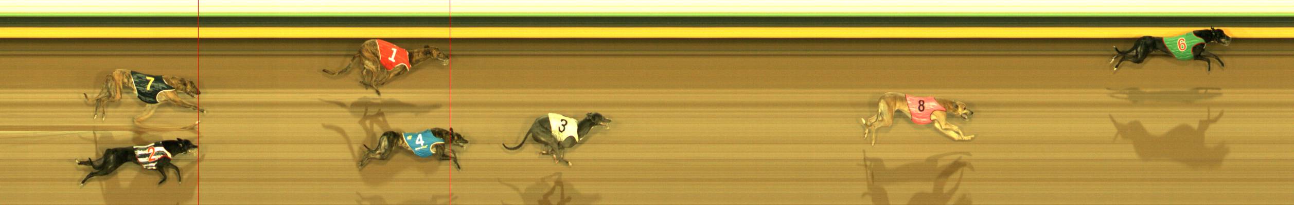 Photo finish for Sandown Race 6