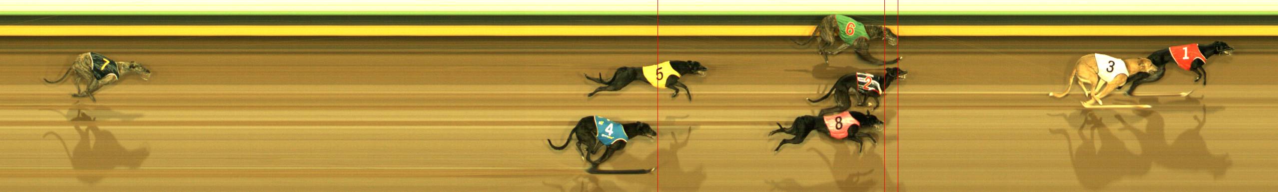 Photo finish for Sandown Race 7