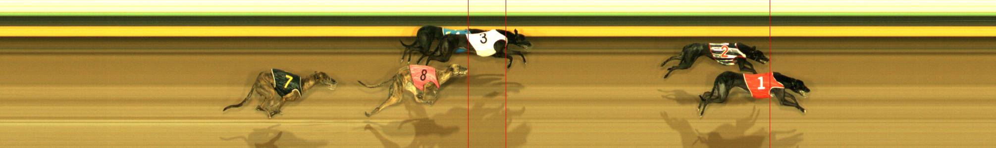 Photo finish for Sandown Race 8