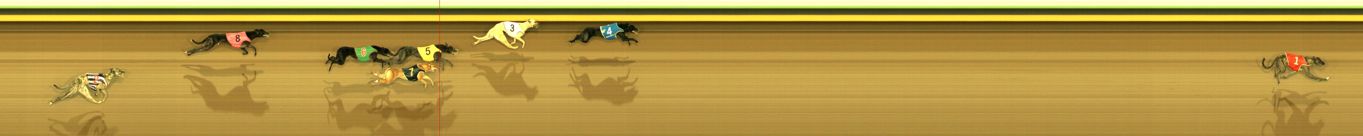 Photo finish for Sandown Race 9