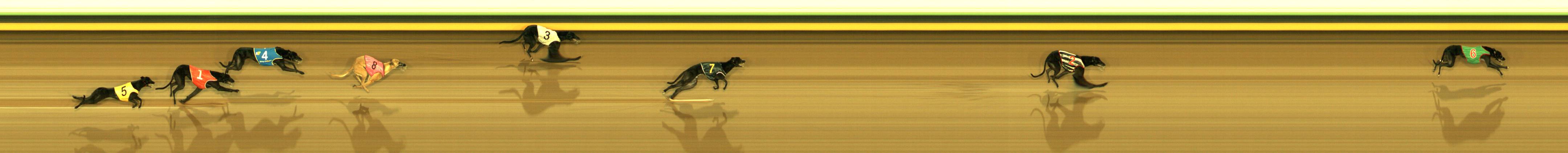 Photo finish for Sandown Race 10