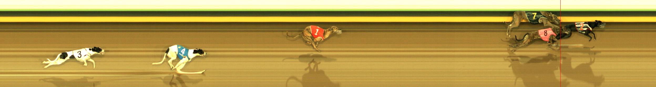 Photo finish for Sandown Race 11