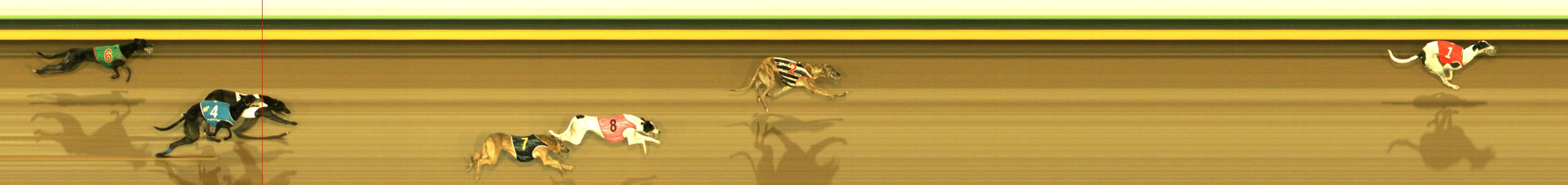 Photo finish for Sandown Race 12