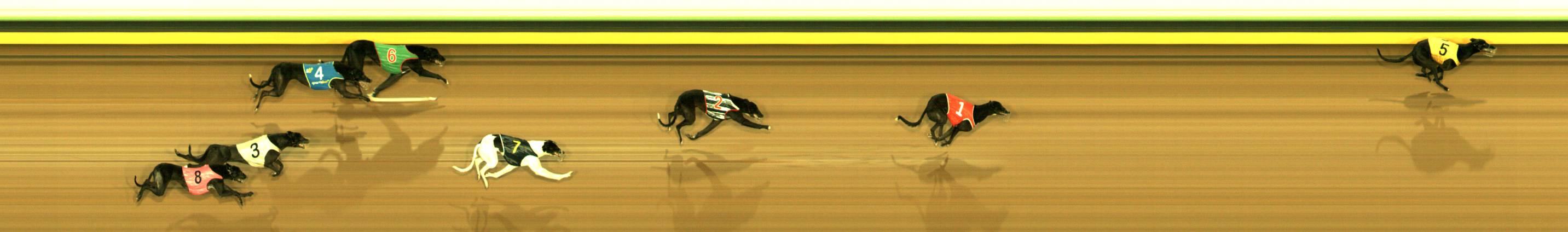 Photo finish for Sandown Race 1