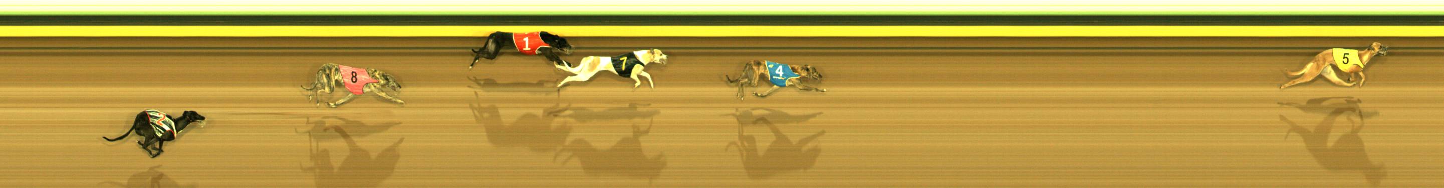 Photo finish for Sandown Race 2