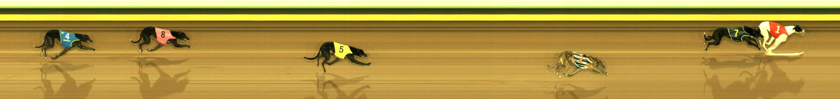 Photo finish for Sandown Race 3