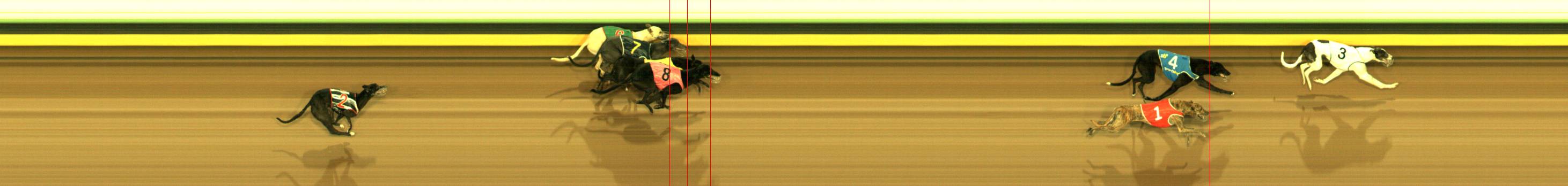 Photo finish for Sandown Race 4