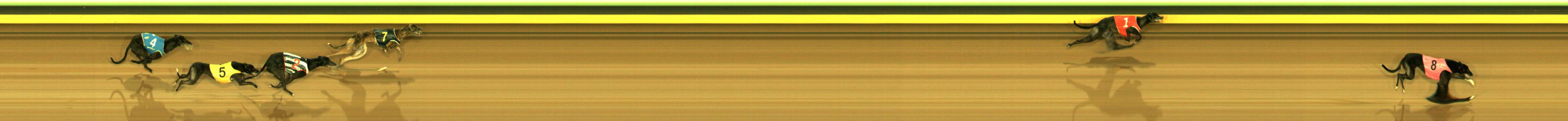 Photo finish for Sandown Race 5