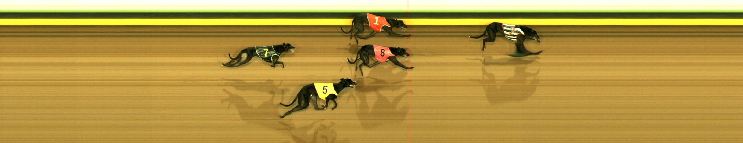 Photo finish for Sandown Race 6