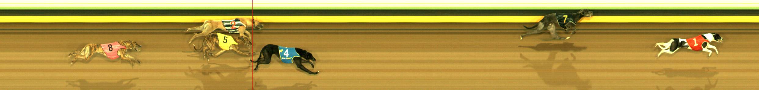 Photo finish for Sandown Race 7