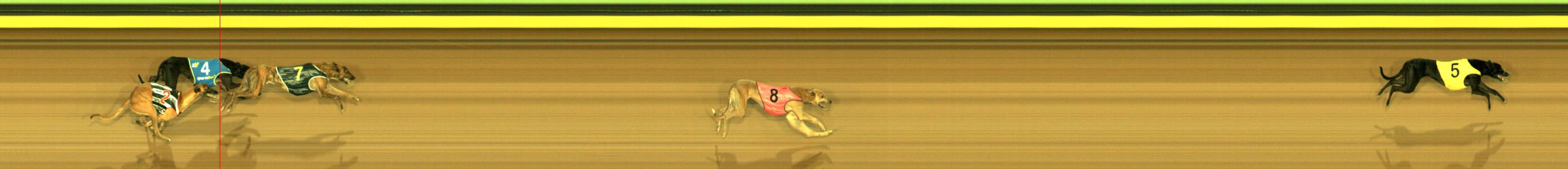 Photo finish for Sandown Race 8