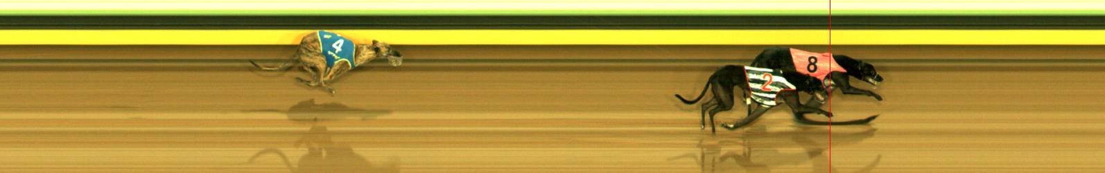 Photo finish for Sandown Race 9