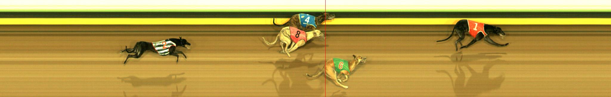 Photo finish for Sandown Race 10