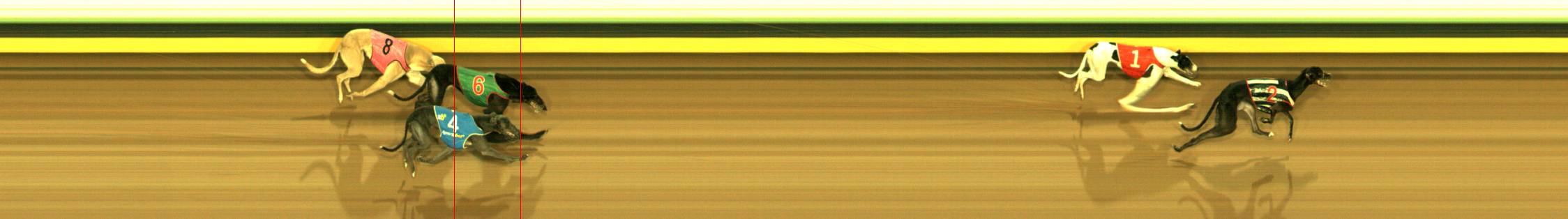Photo finish for Sandown Race 11