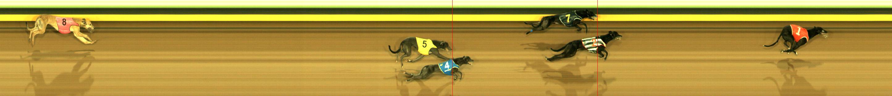 Photo finish for Sandown Race 12