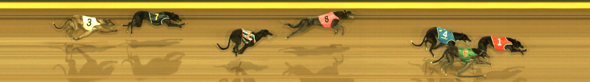 Photo finish for Sandown Race 1