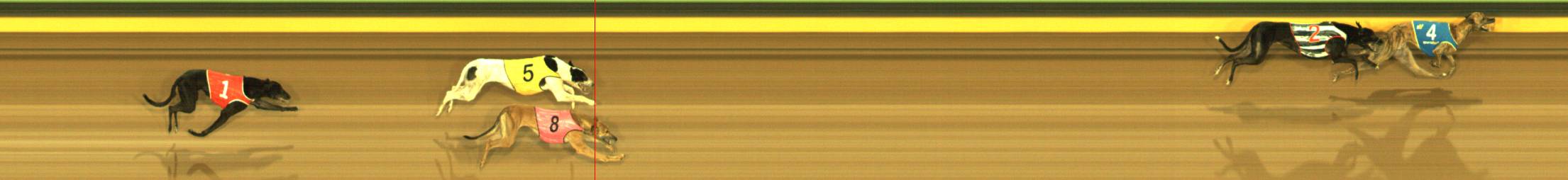 Photo finish for Sandown Race 2