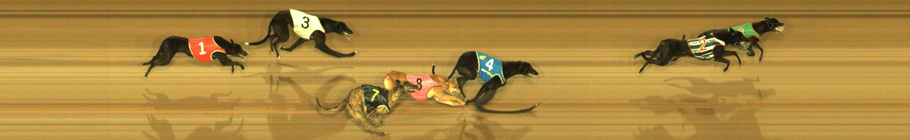 Photo finish for Sandown Race 3