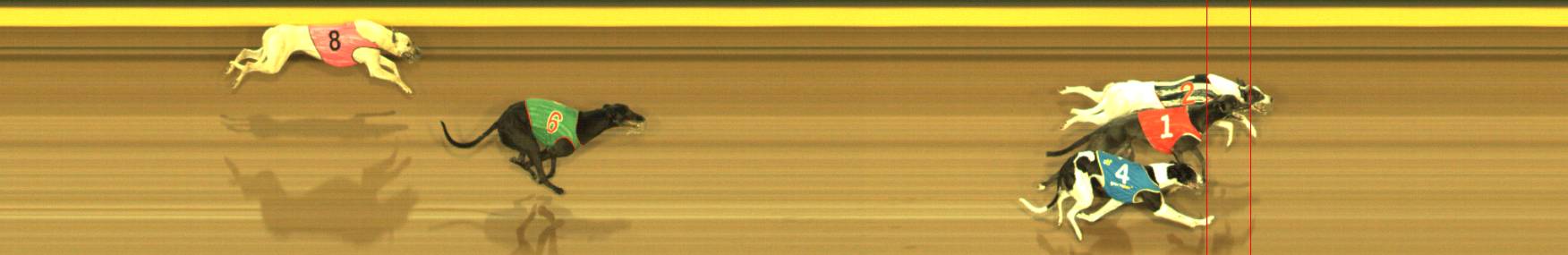 Photo finish for Sandown Race 4
