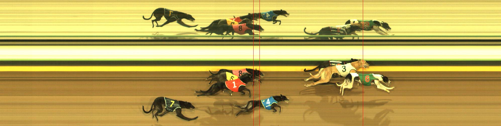 Photo finish for Sandown Race 5