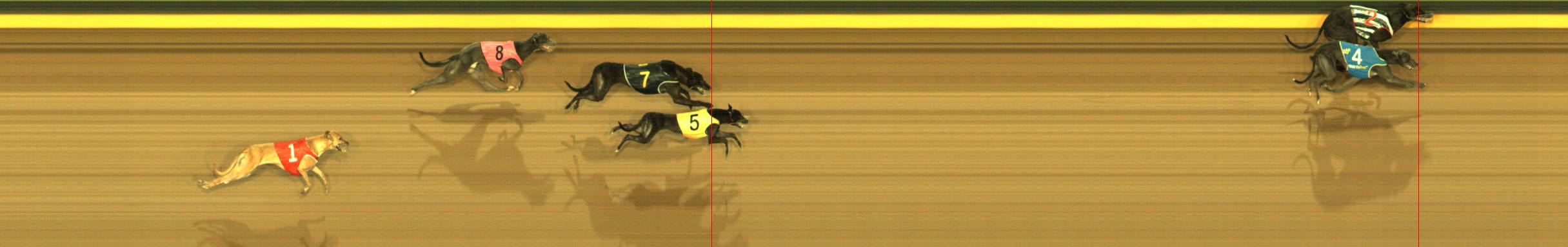 Photo finish for Sandown Race 6