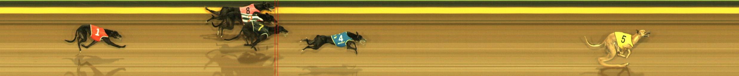 Photo finish for Sandown Race 7