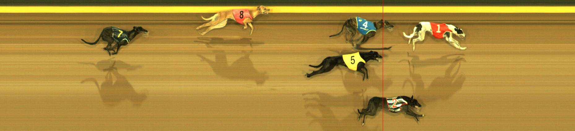 Photo finish for Sandown Race 8