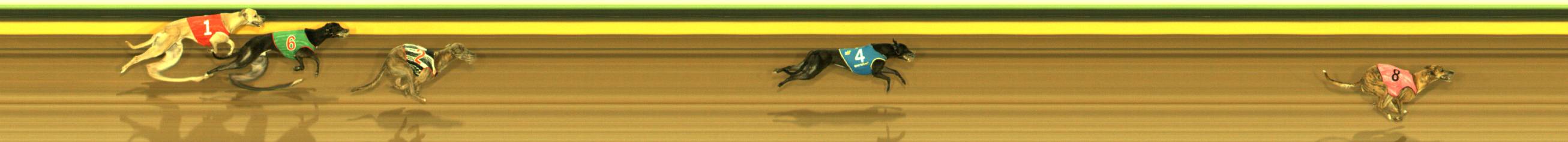 Photo finish for Sandown Race 9