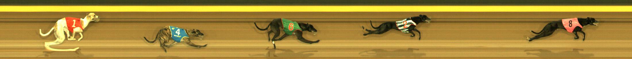 Photo finish for Sandown Race 10