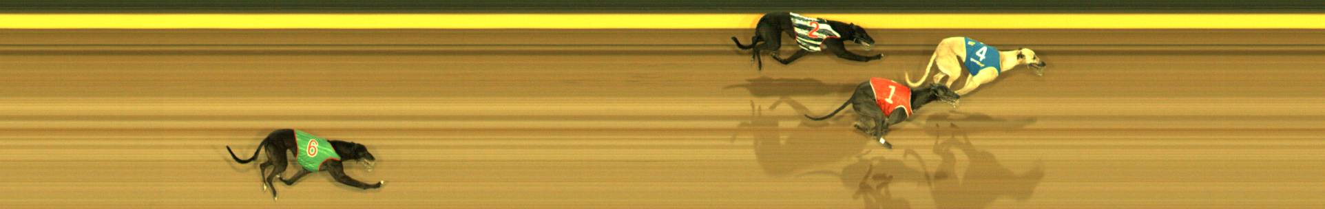 Photo finish for Sandown Race 11
