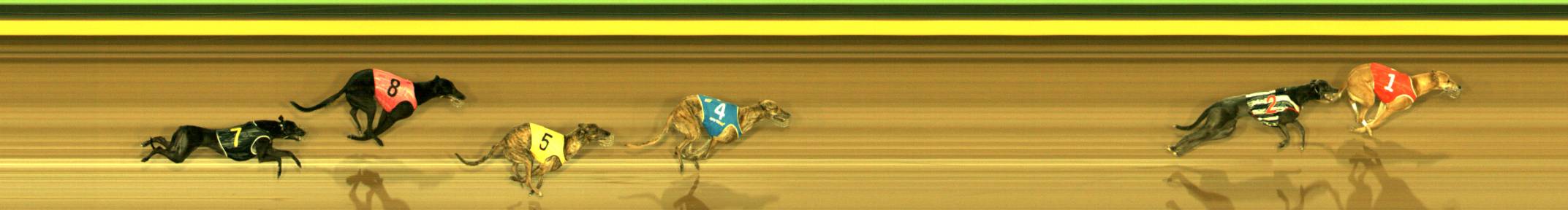 Photo finish for Sandown Race 2