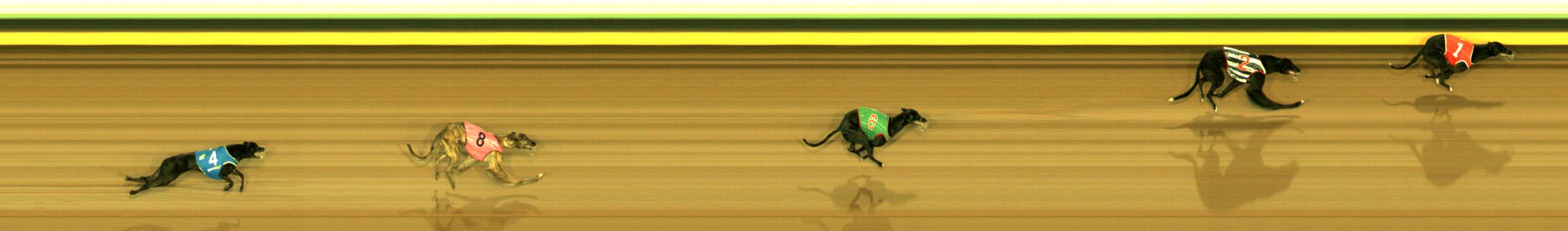 Photo finish for Sandown Race 3