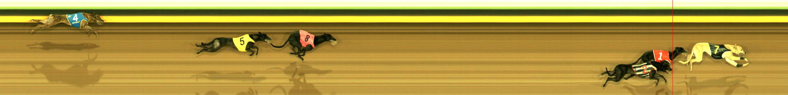 Photo finish for Sandown Race 5