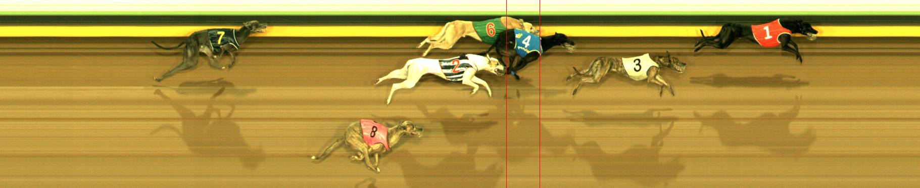 Photo finish for Sandown Race 6
