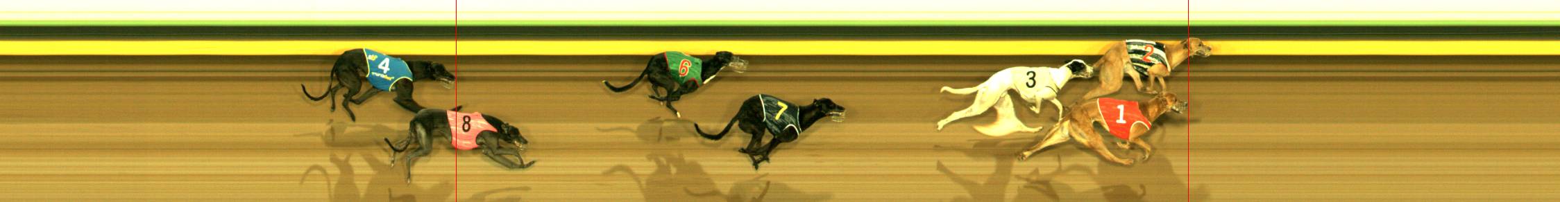 Photo finish for Sandown Race 8