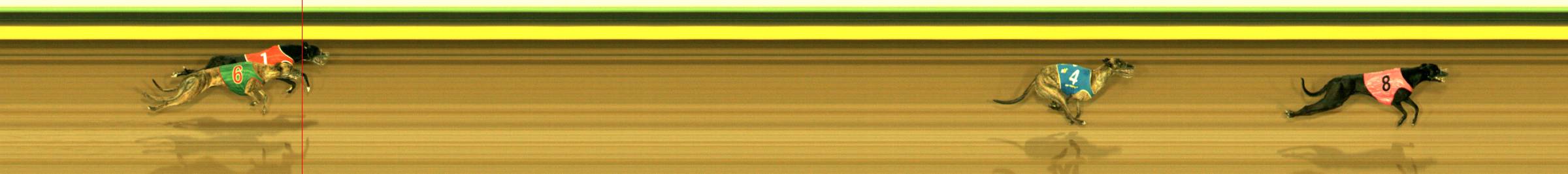 Photo finish for Sandown Race 9