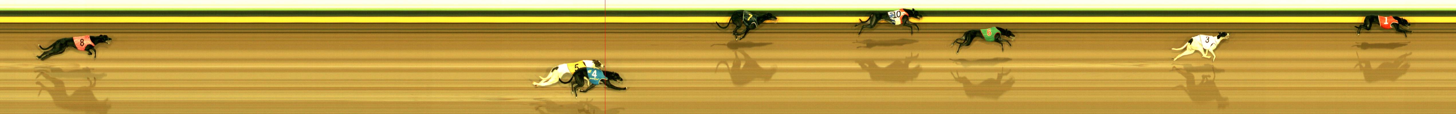 Photo finish for Sandown Park Race 1