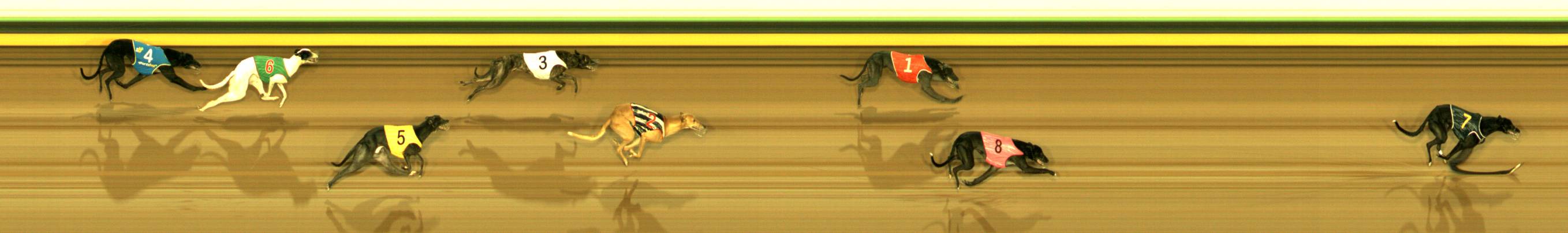 Photo finish for Sandown Park Race 2