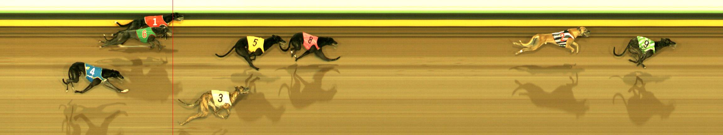 Photo finish for Sandown Park Race 3