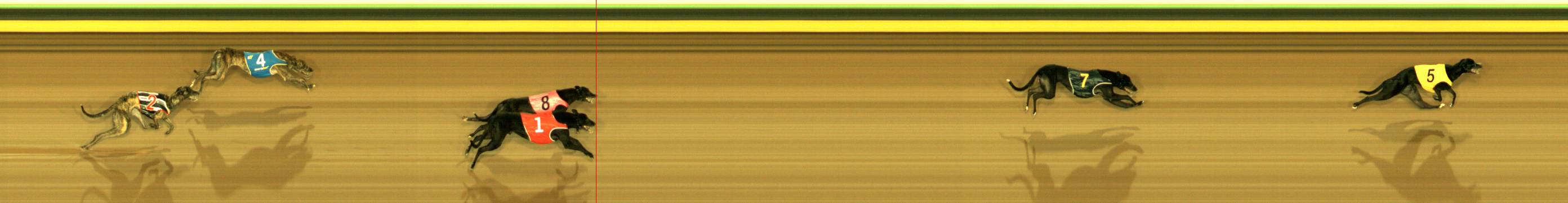 Photo finish for Sandown Park Race 4