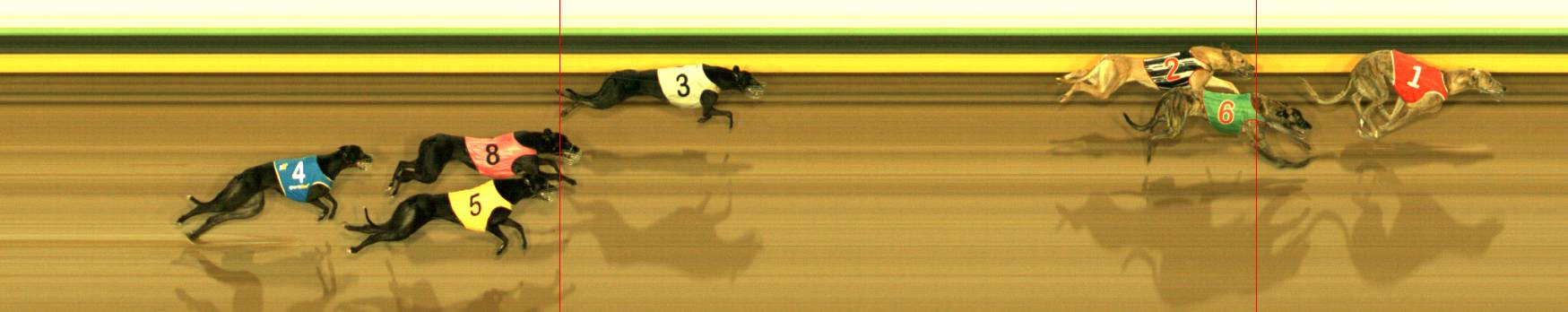 Photo finish for Sandown Park Race 5