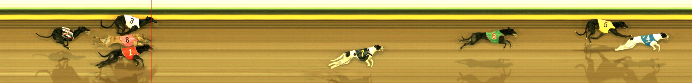 Photo finish for Sandown Park Race 6