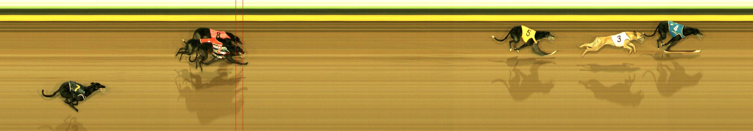 Photo finish for Sandown Park Race 7