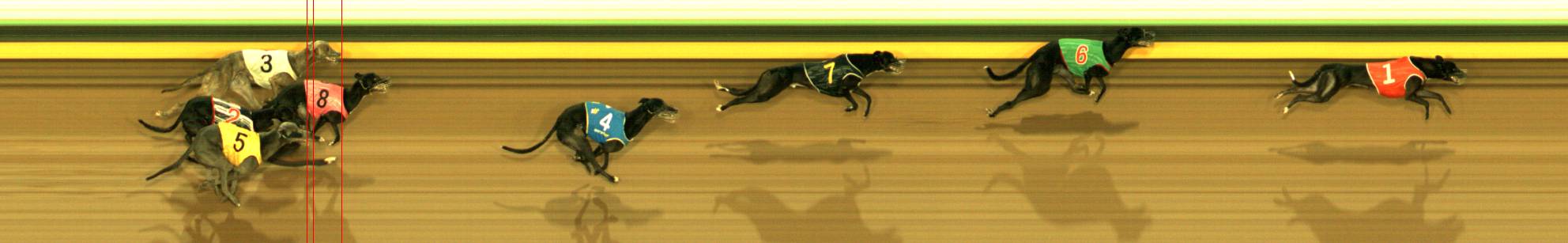 Photo finish for Sandown Park Race 8