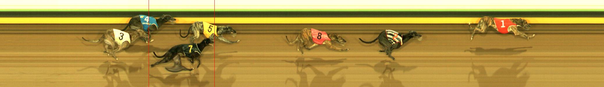 Photo finish for Sandown Park Race 9