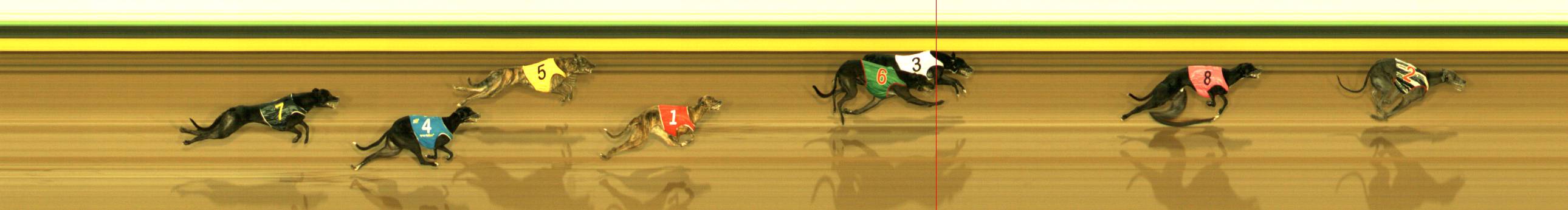 Photo finish for Sandown Park Race 10