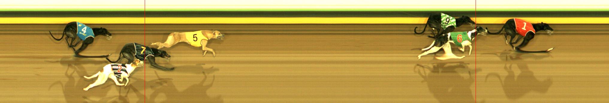 Photo finish for Sandown Park Race 11