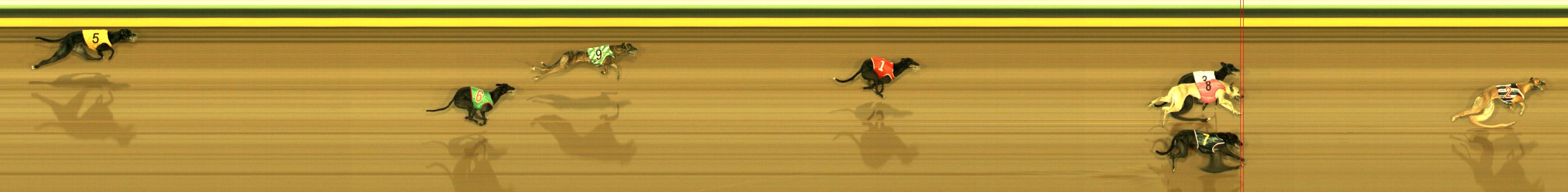 Photo finish for Sandown Park Race 12