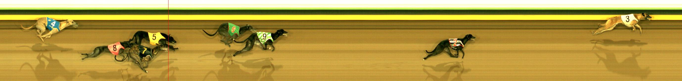 Photo finish for Sandown Park Race 1